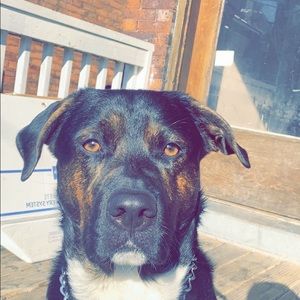 Meet your Posher, Aaron